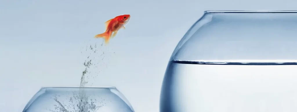 digital disruption lessons from past crises