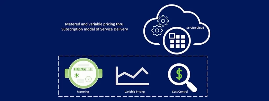 metered pricing model in IT services
